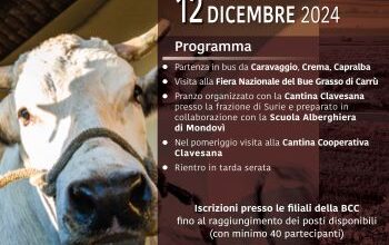 Visita alla Fiera nazionale del Bue Grasso di Carrù